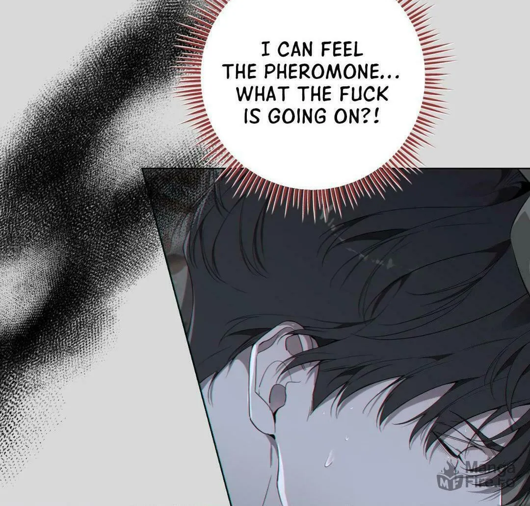 To Me Who Doesn