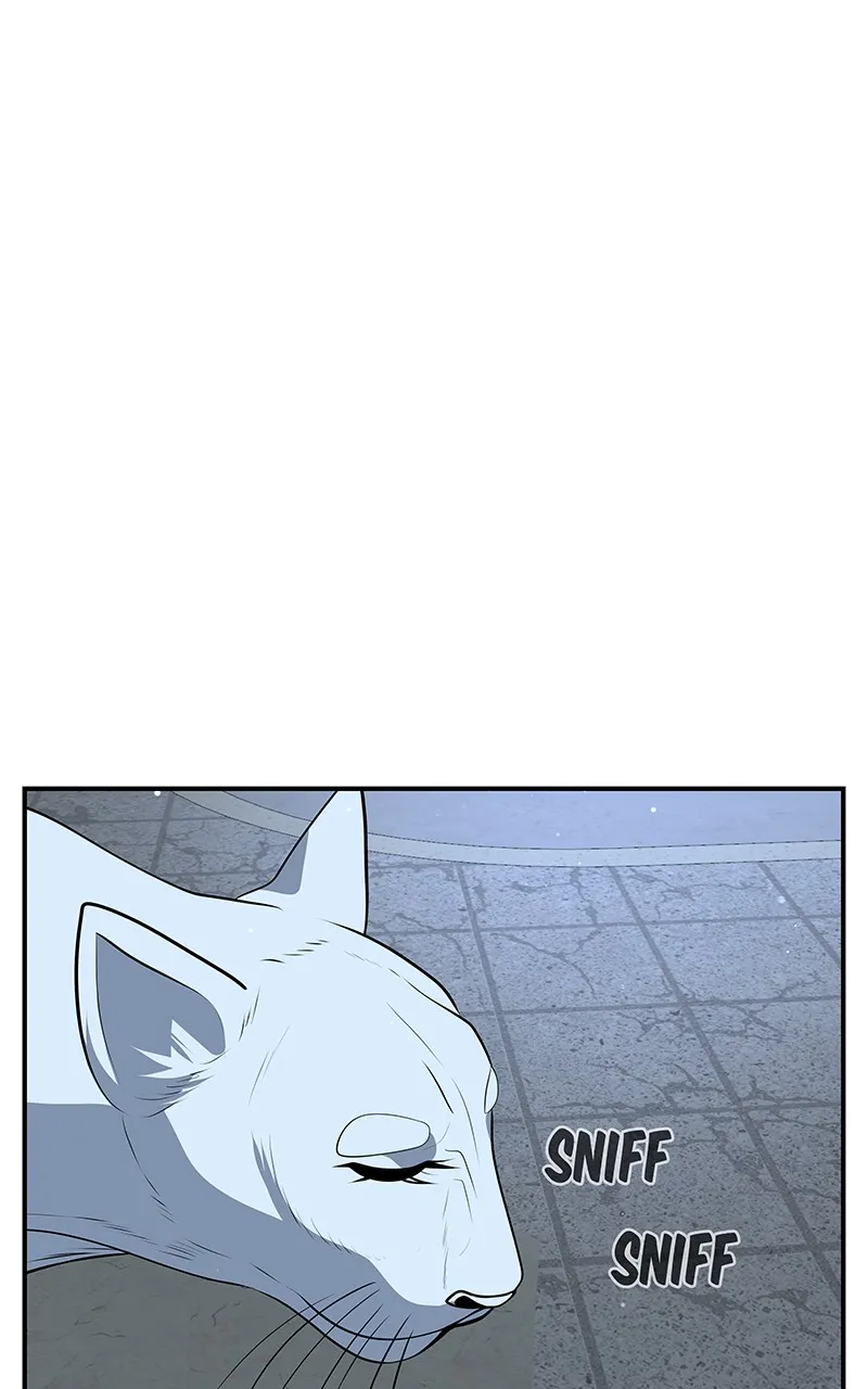 To Tame a Fire Chapter 104 page 67 - 