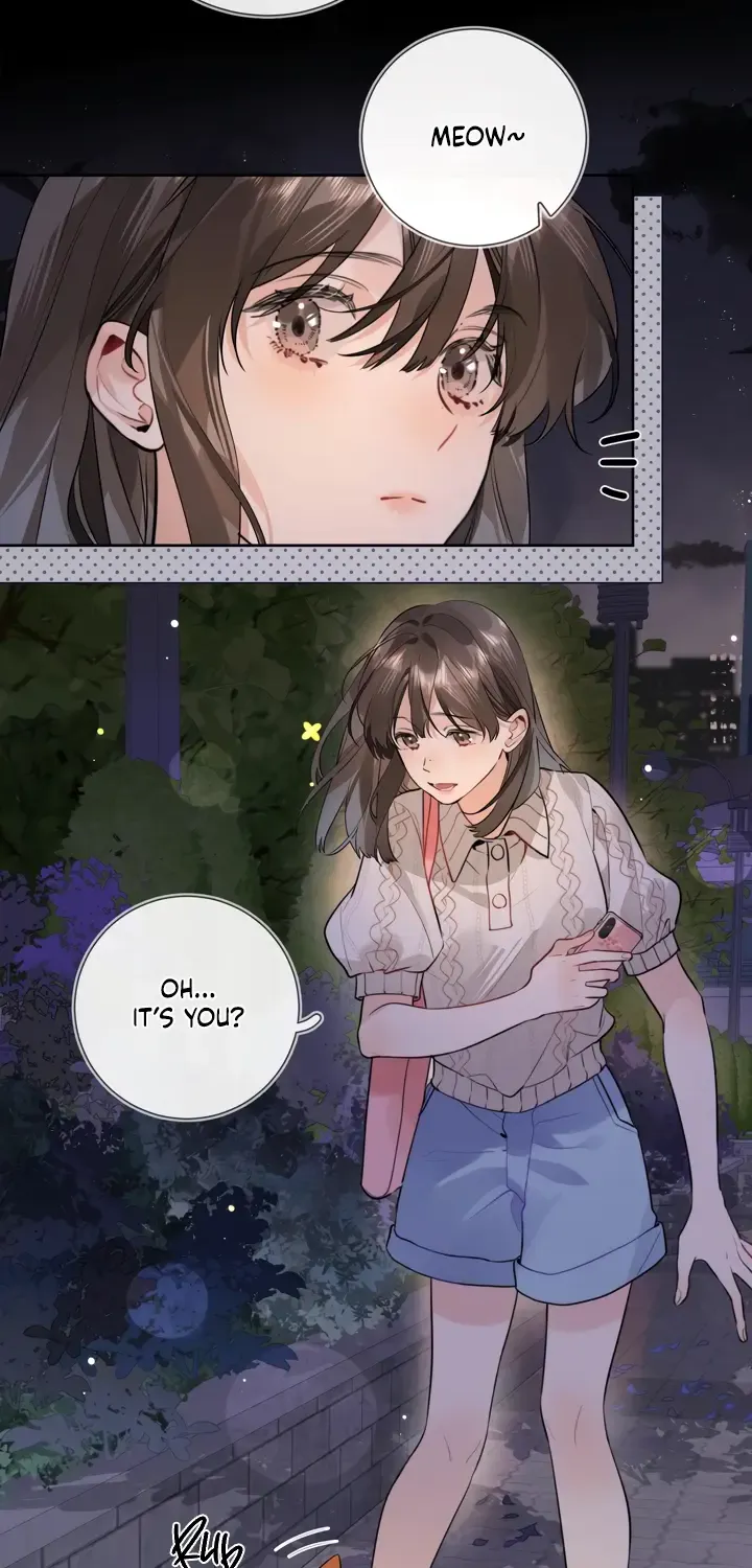 To tell you my love Chapter 15 page 12 - 