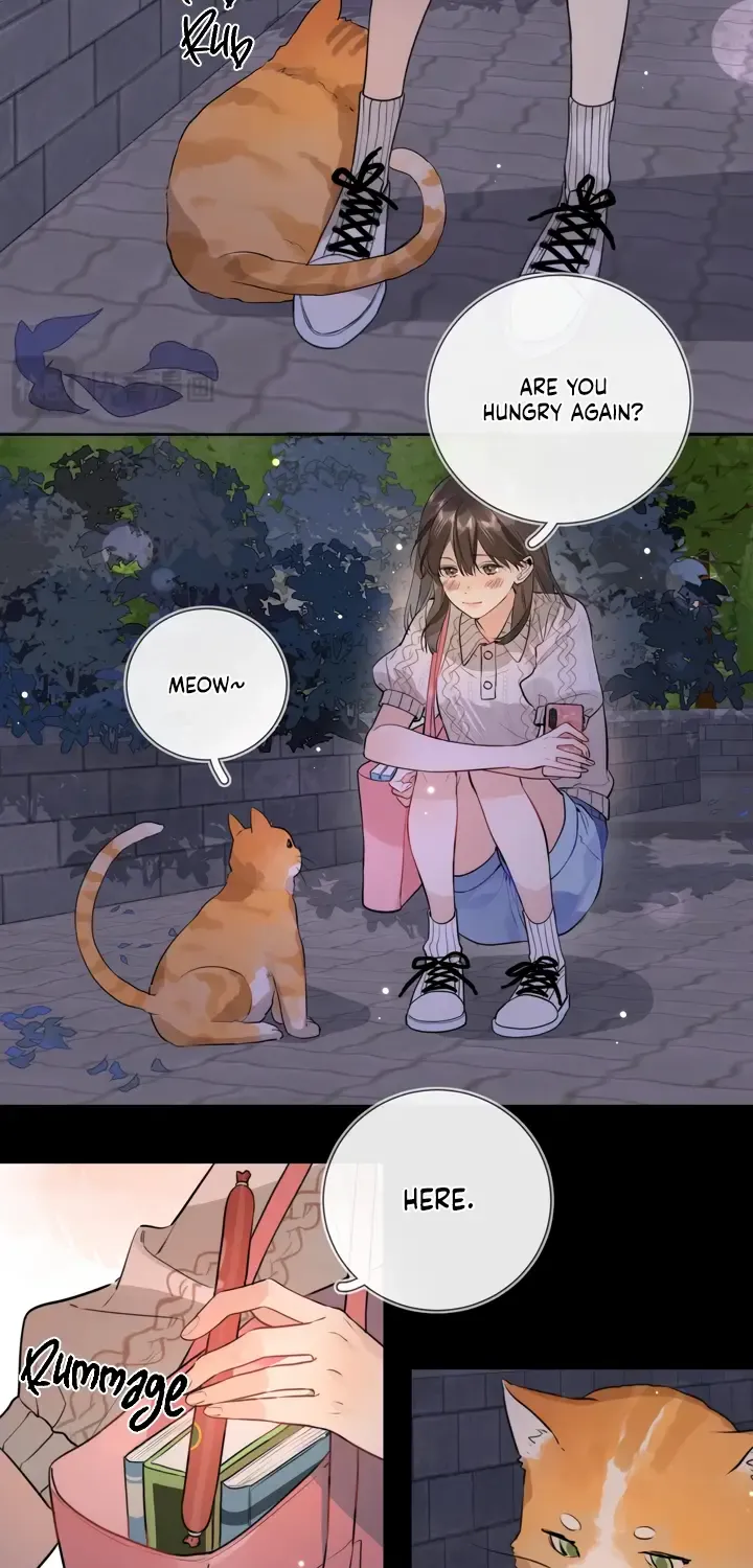 To tell you my love Chapter 15 page 13 - 