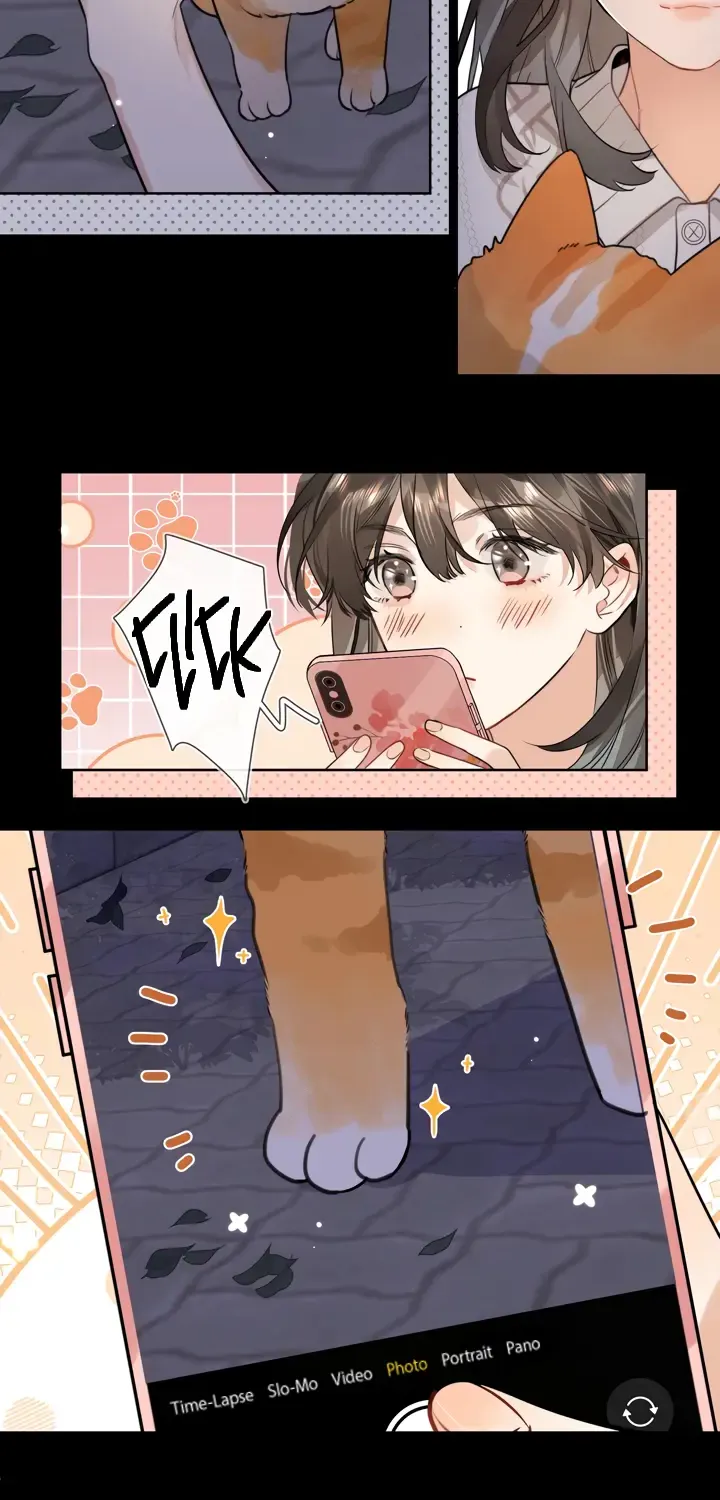 To tell you my love Chapter 15 page 19 - 