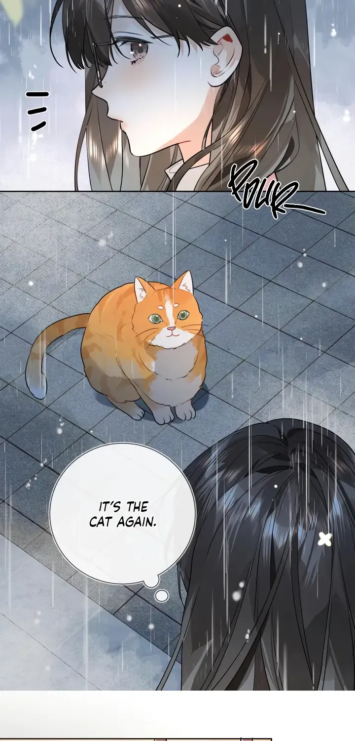 To tell you my love Chapter 15 page 25 - 