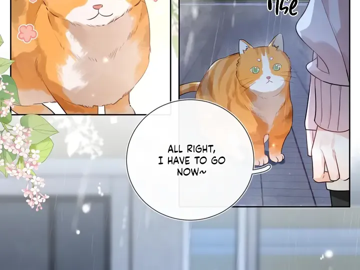To tell you my love Chapter 15 page 27 - 