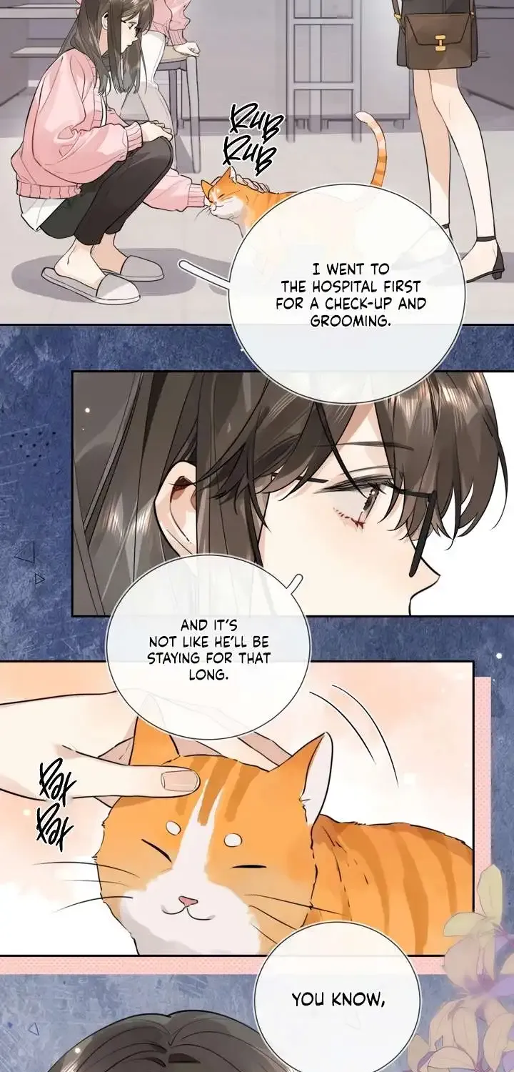 To tell you my love Chapter 16 page 12 - 