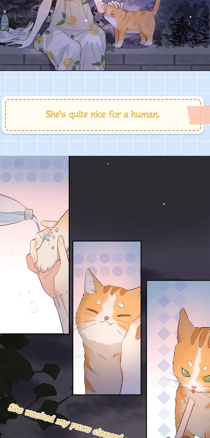 To tell you my love Chapter 18.1 page 4 - 