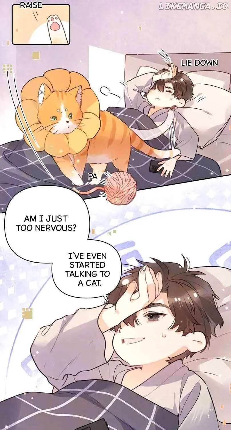 To tell you my love Chapter 51.5 page 8 - 