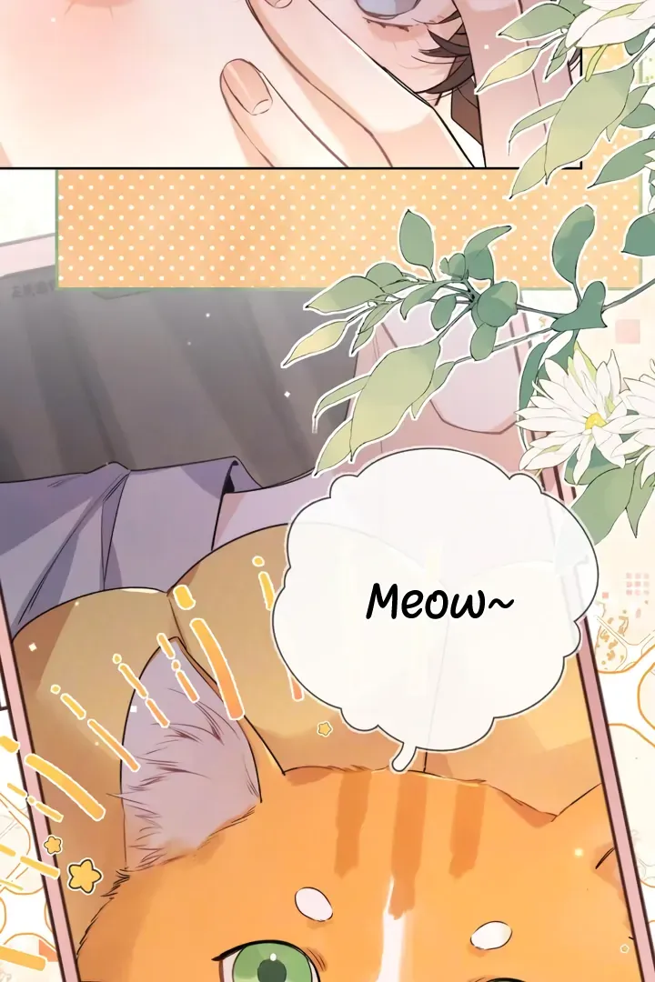 To tell you my love Chapter 51 page 5 - 