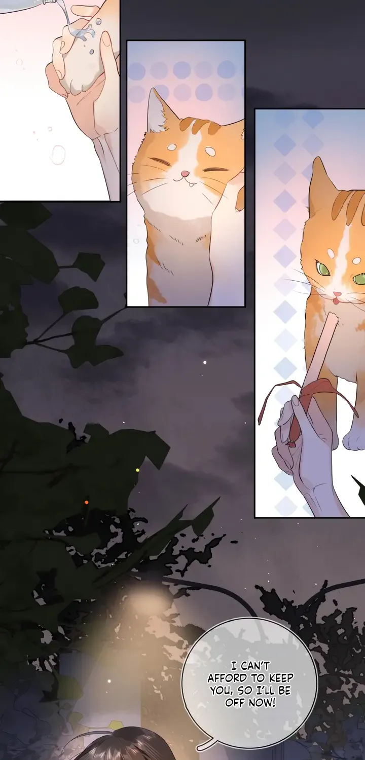 To tell you my love Chapter 9 page 21 - 