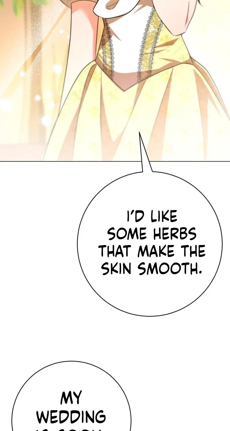 To the Flawless Duke Chapter 12 page 40 - 