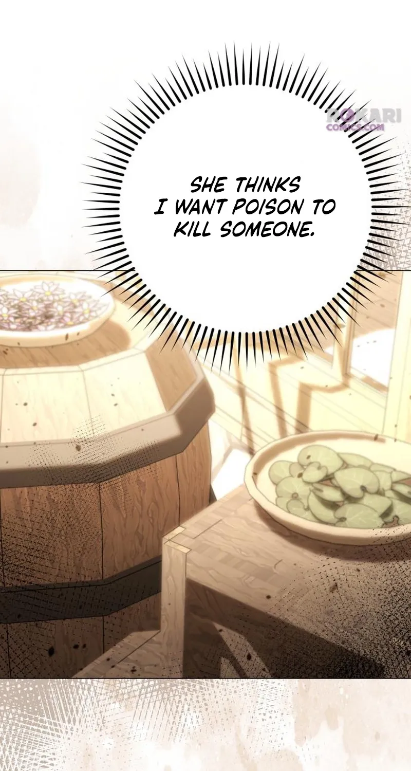 To the Flawless Duke Chapter 12 page 60 - 