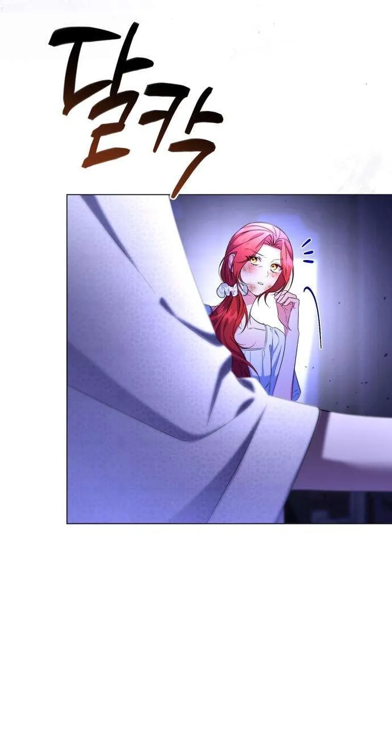 To the Flawless Duke Chapter 14 page 9 - 