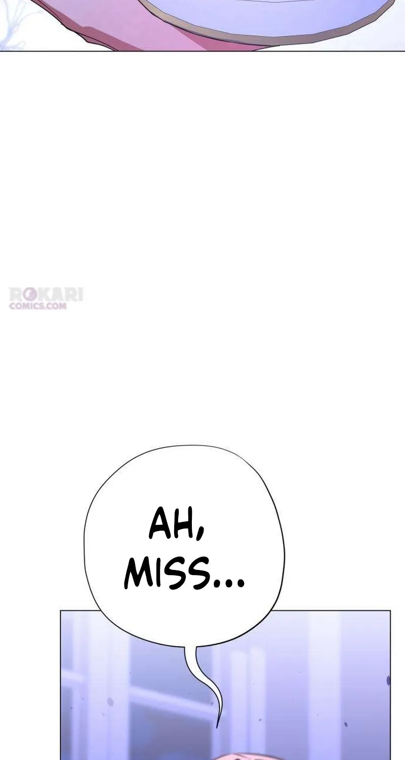 To the Flawless Duke Chapter 14 page 95 - 