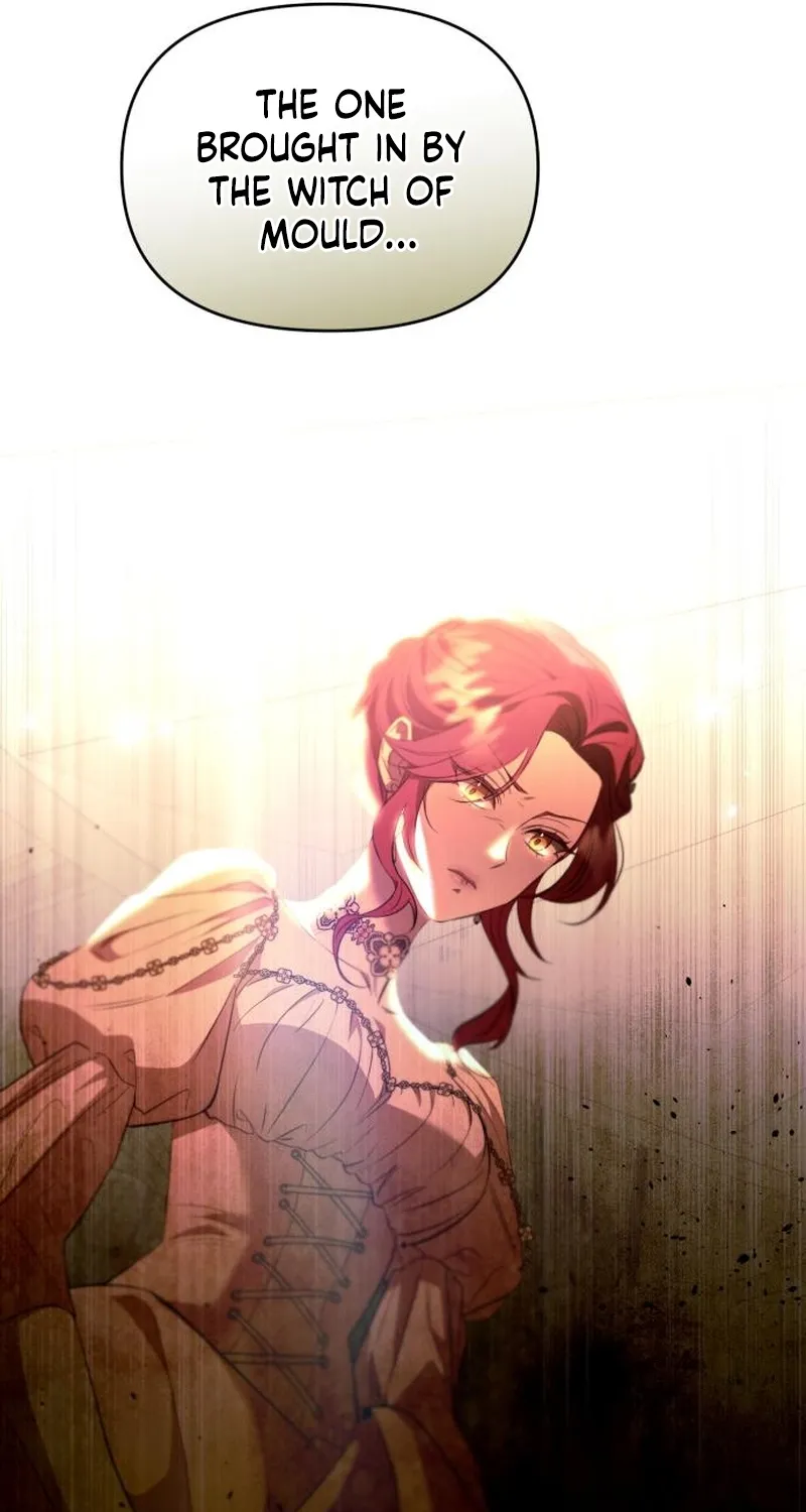 To the Flawless Duke Chapter 2 page 153 - 