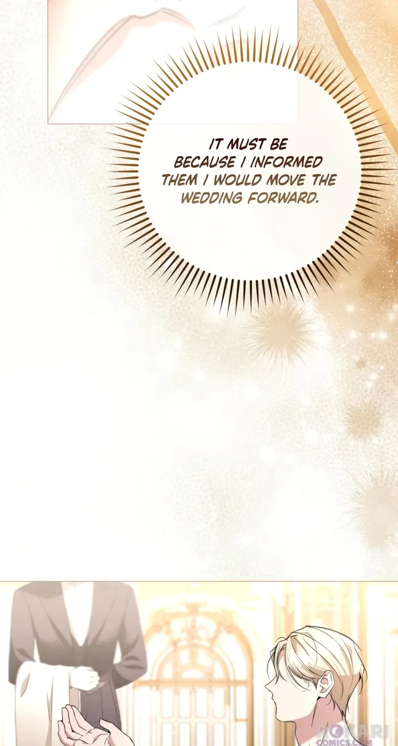 To the Flawless Duke Chapter 24 page 26 - 