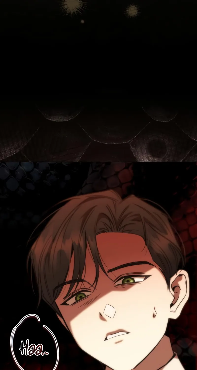 To the Flawless Duke Chapter 26 page 104 - 