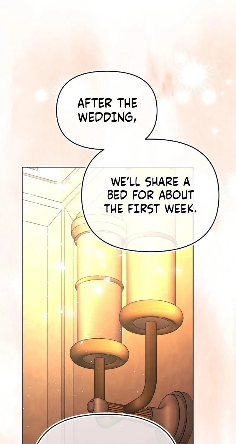 To the Flawless Duke Chapter 3 page 97 - 