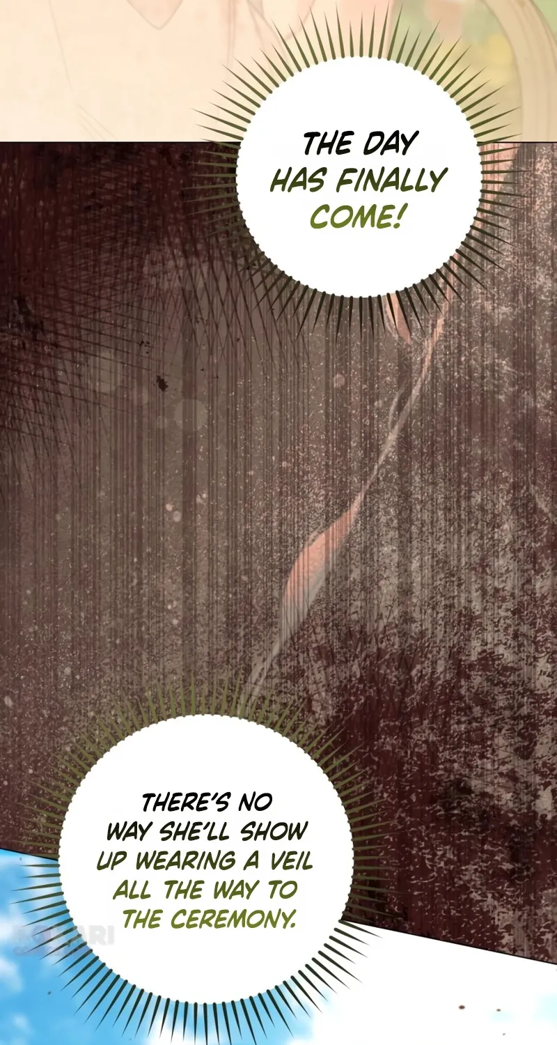 To the Flawless Duke Chapter 31 page 29 - 