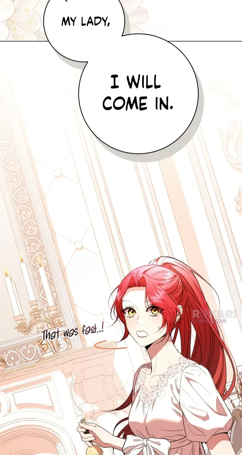 To the Flawless Duke Chapter 34 page 27 - 