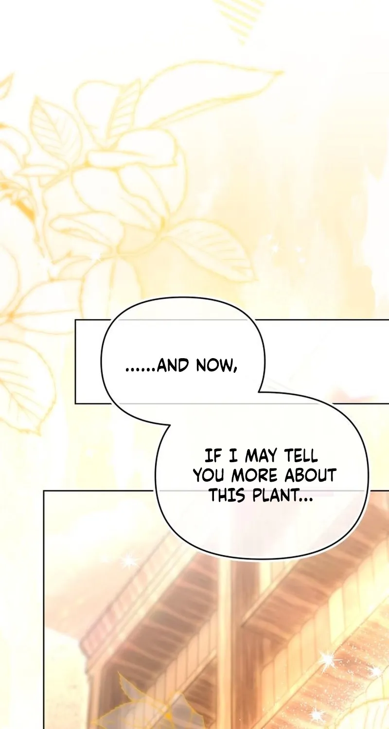 To the Flawless Duke Chapter 8 page 14 - 