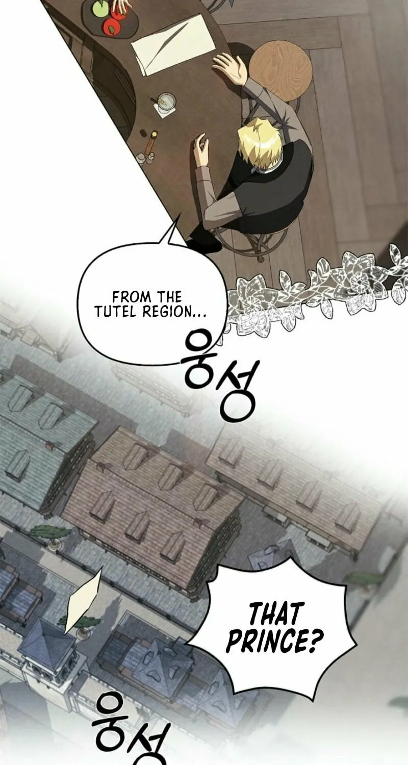 To the Witch Who Forgot the Bird Chapter 14 page 43 - 