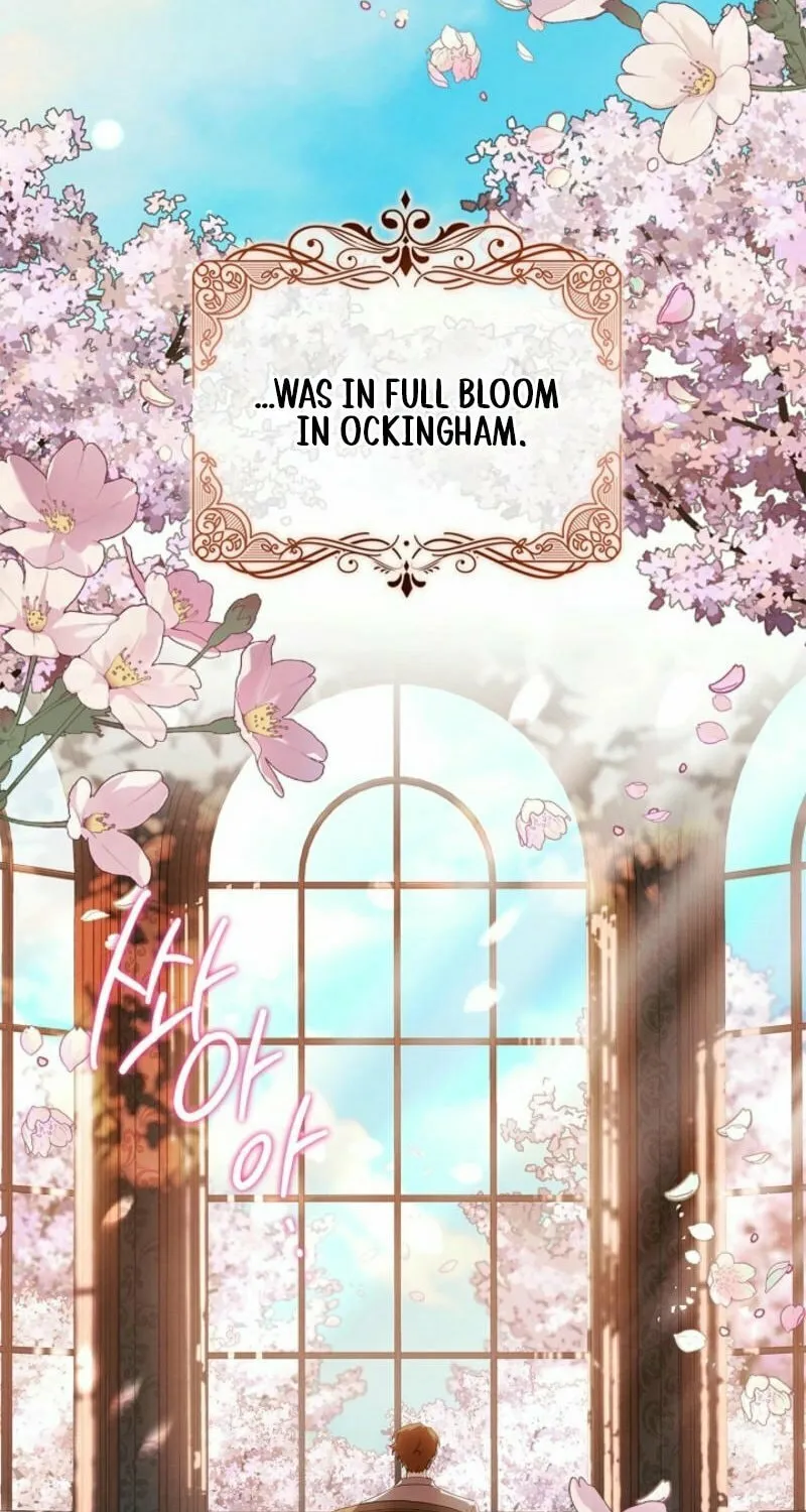 To the Witch Who Forgot the Bird Chapter 14 page 73 - 