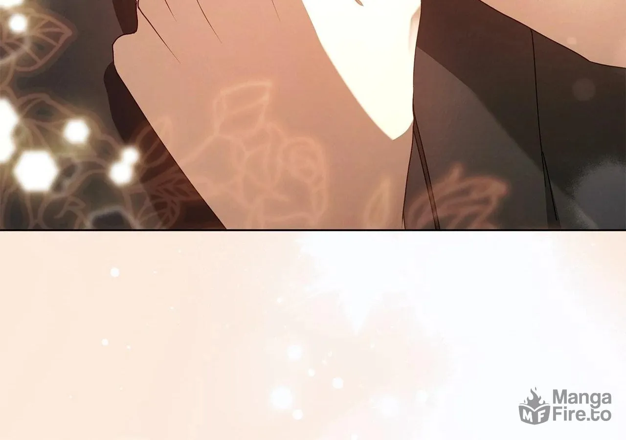 To the Witch Who Forgot the Bird Chapter 15 page 143 - 