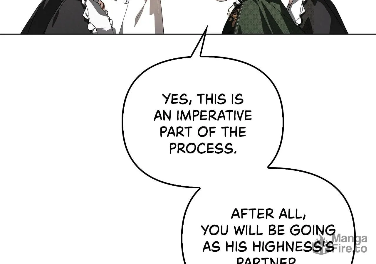 To the Witch Who Forgot the Bird Chapter 15 page 61 - 