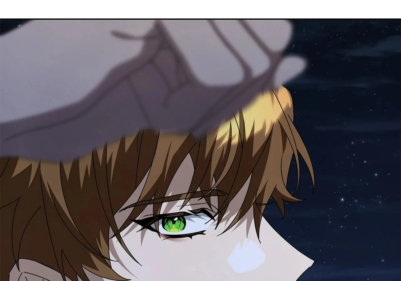 To the Witch Who Forgot the Bird Chapter 18 page 204 - 