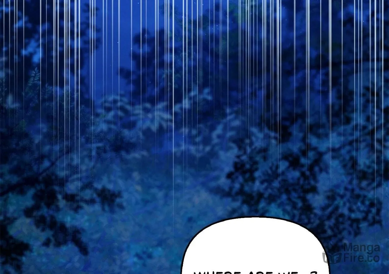 To the Witch Who Forgot the Bird Chapter 19 page 159 - 