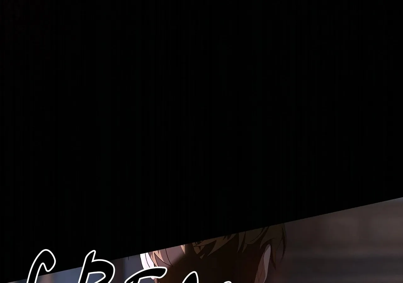 To the Witch Who Forgot the Bird Chapter 19 page 205 - 