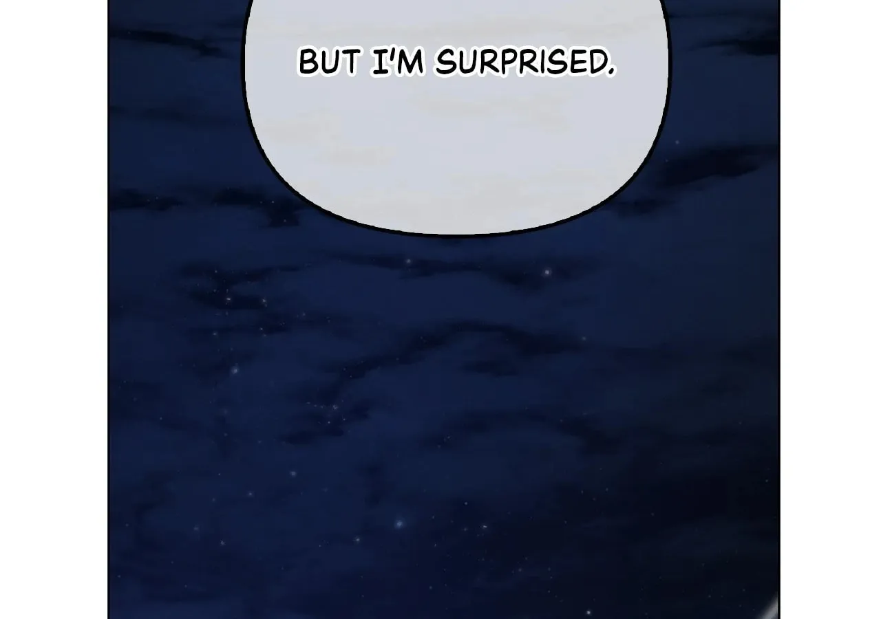 To the Witch Who Forgot the Bird Chapter 19 page 25 - 