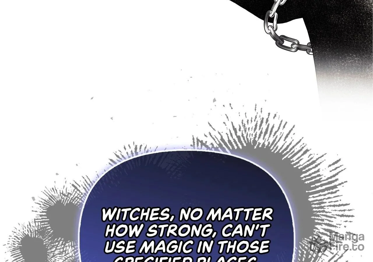 To the Witch Who Forgot the Bird Chapter 20 page 161 - 