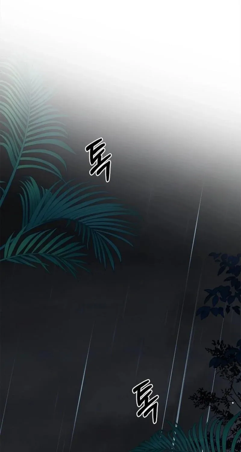 To the Witch Who Forgot the Bird Chapter 27 page 73 - 