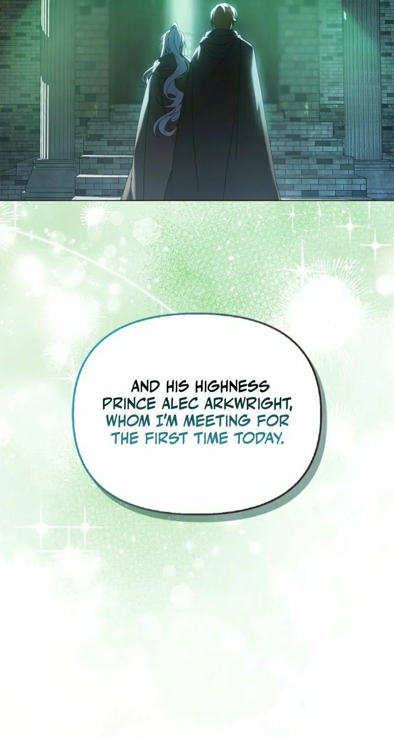 To the Witch Who Forgot the Bird Chapter 28 page 63 - 
