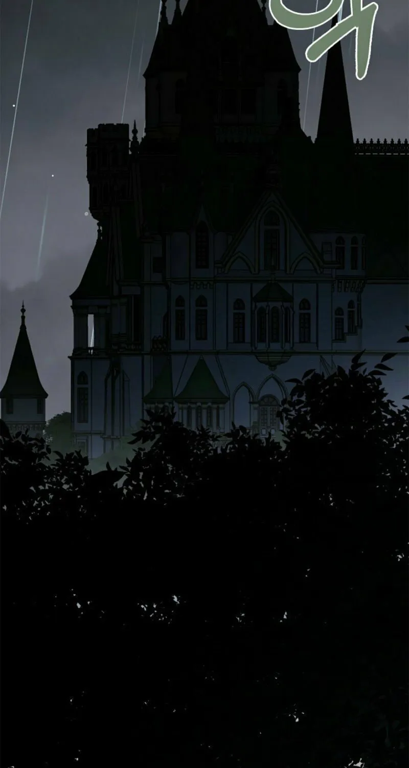 To the Witch Who Forgot the Bird Chapter 28 page 67 - 