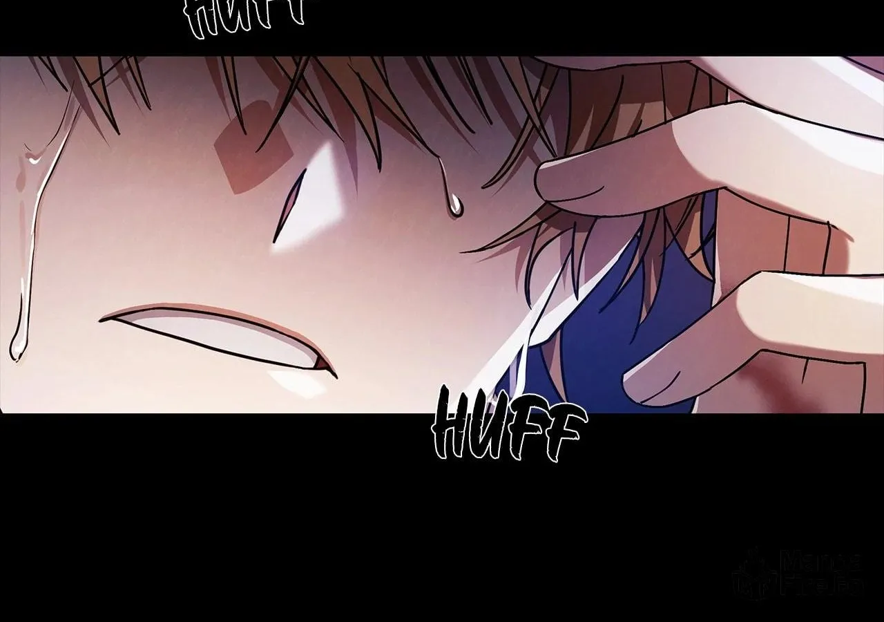 To the Witch Who Forgot the Bird Chapter 3 page 218 - 