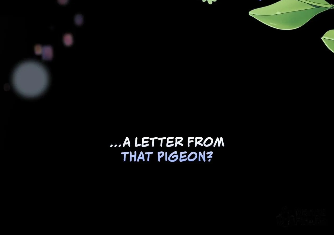 To the Witch Who Forgot the Bird Chapter 3 page 223 - 