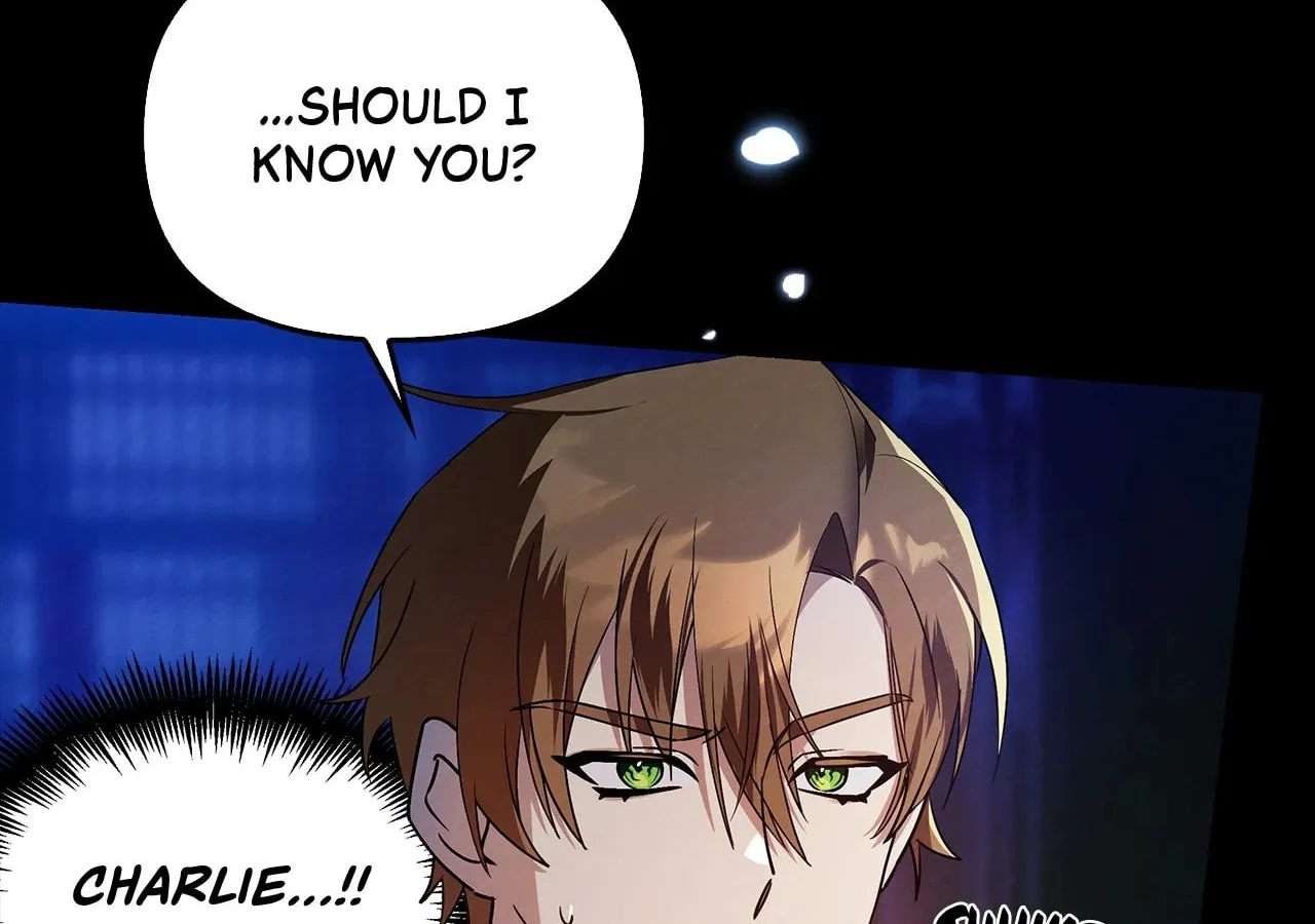 To the Witch Who Forgot the Bird Chapter 3 page 280 - 