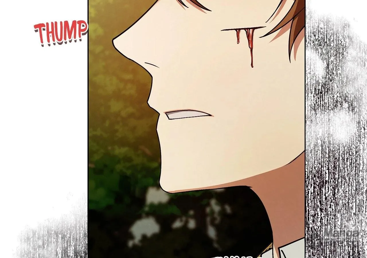 To the Witch Who Forgot the Bird Chapter 3 page 63 - 