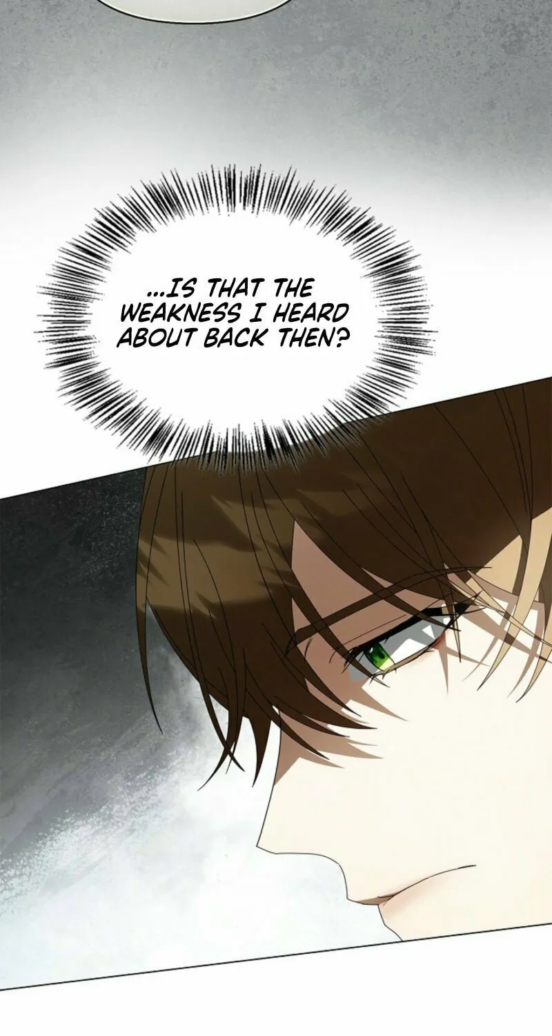 To the Witch Who Forgot the Bird Chapter 30 page 69 - 