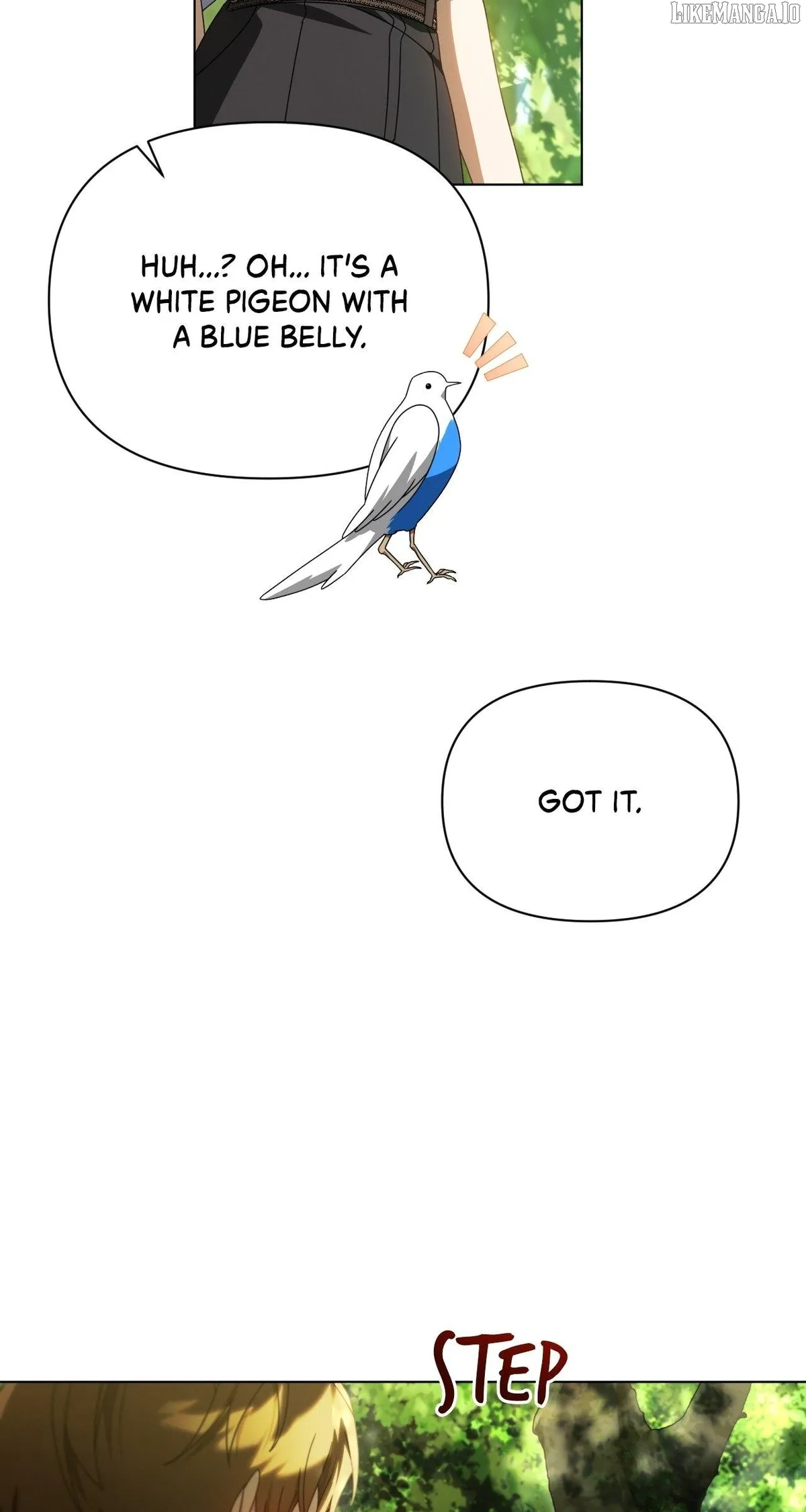 To the Witch Who Forgot the Bird Chapter 34 page 71 - 