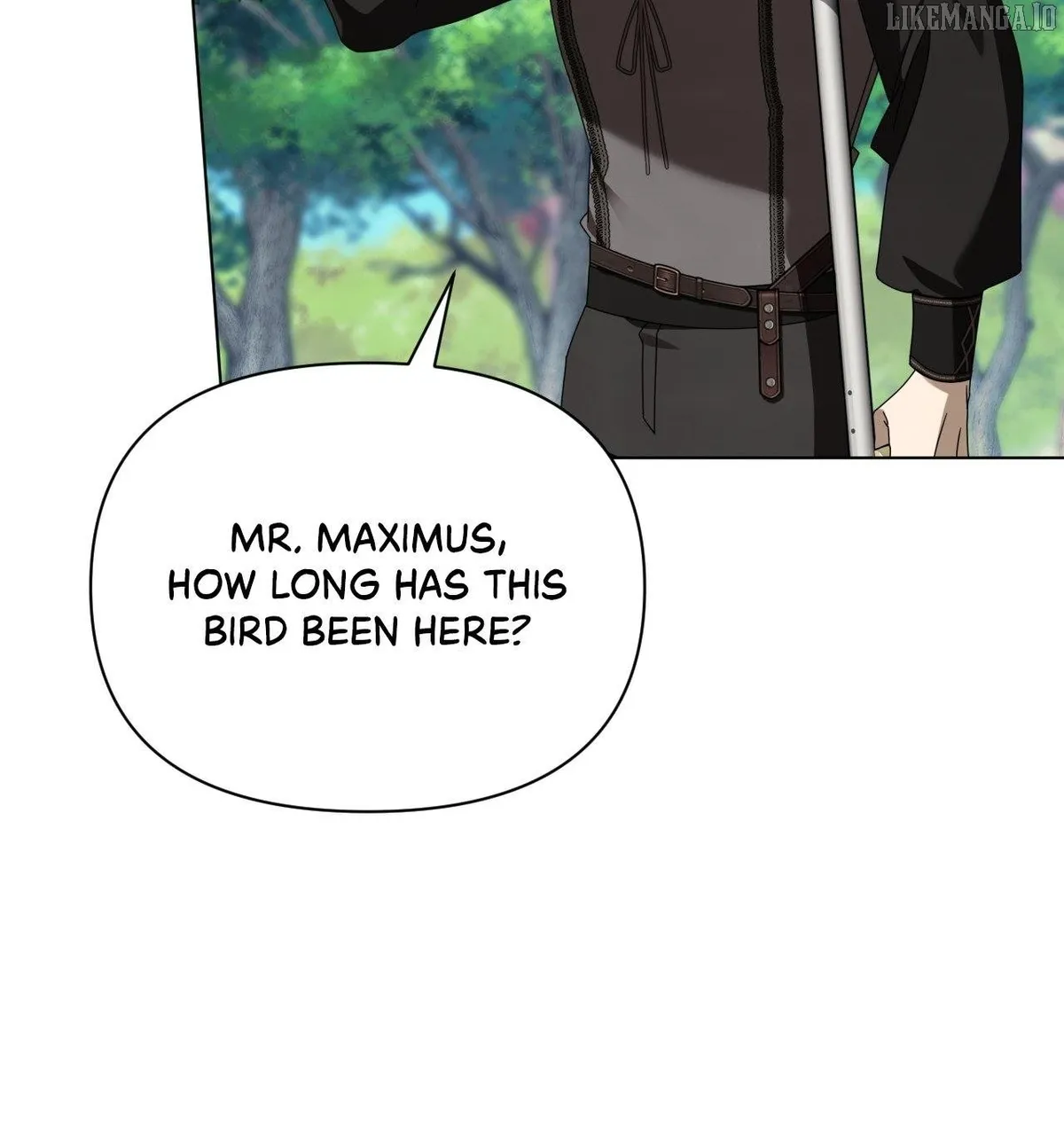 To the Witch Who Forgot the Bird Chapter 38 page 13 - 