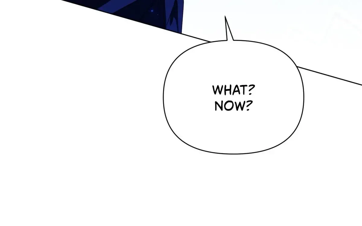 To the Witch Who Forgot the Bird Chapter 47 page 166 - 