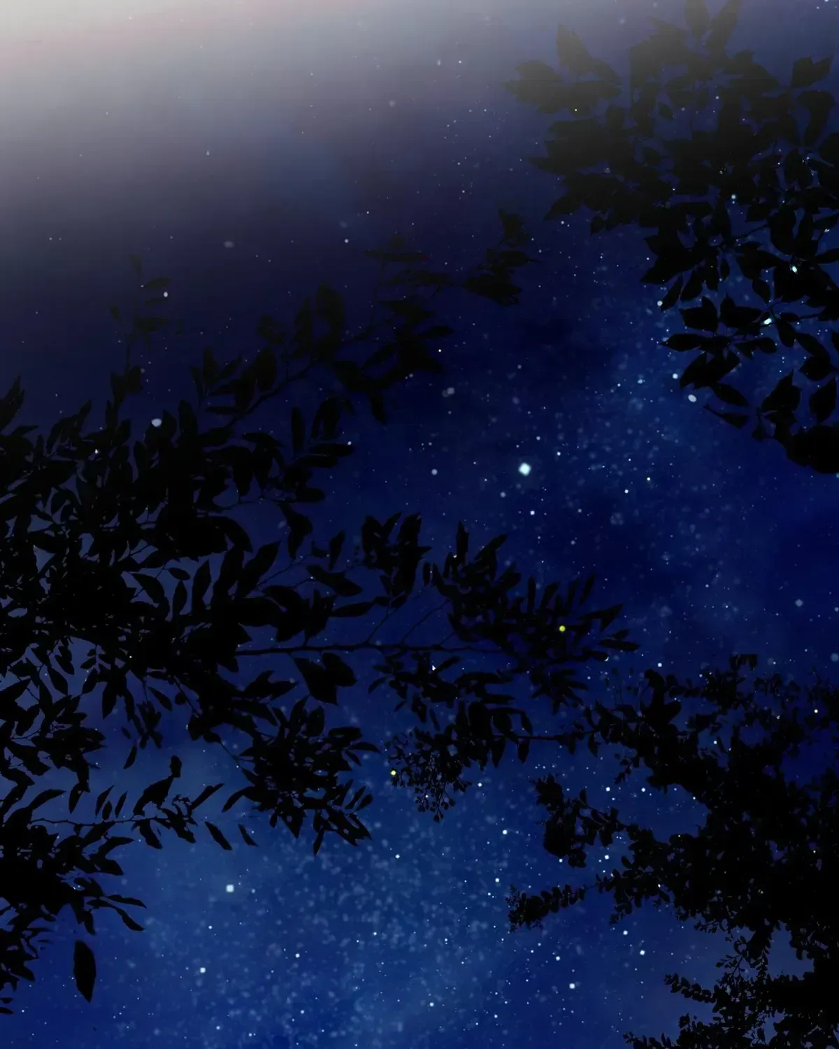 To the Witch Who Forgot the Bird Chapter 47 page 200 - 