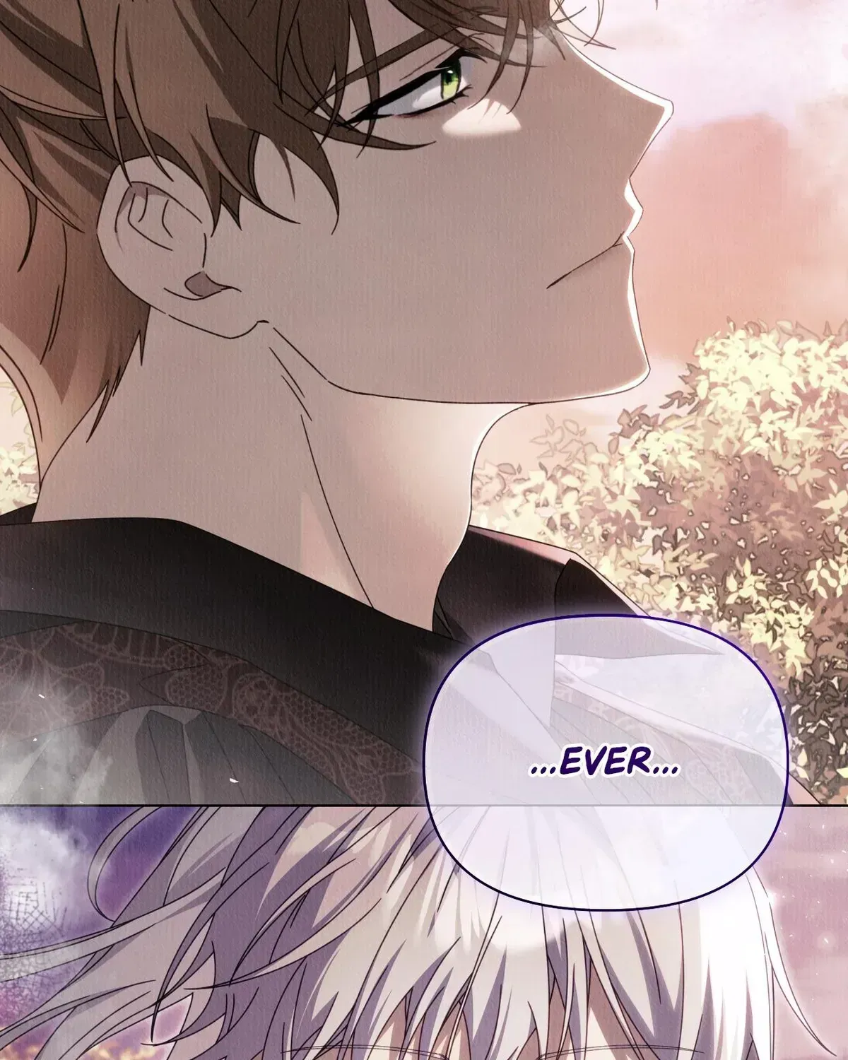 To the Witch Who Forgot the Bird Chapter 48 page 190 - 
