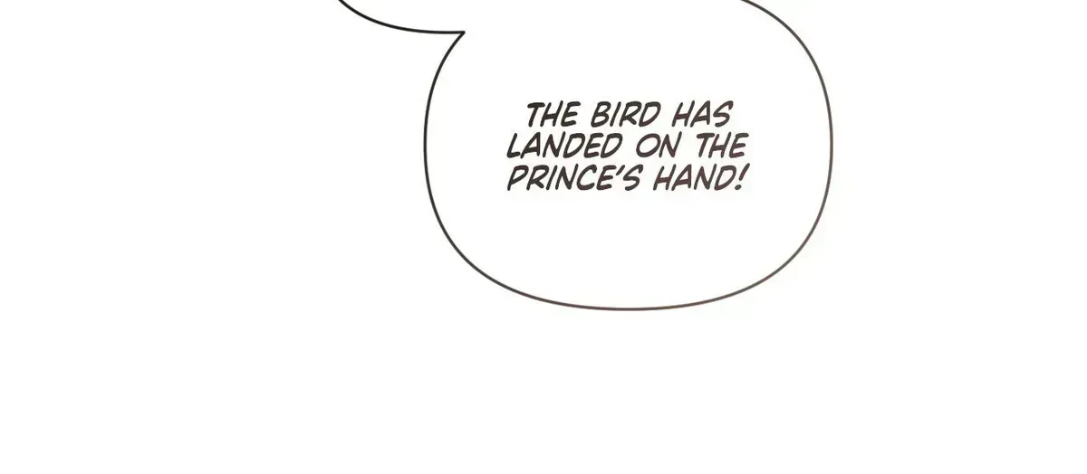 To the Witch Who Forgot the Bird Chapter 49 page 196 - 