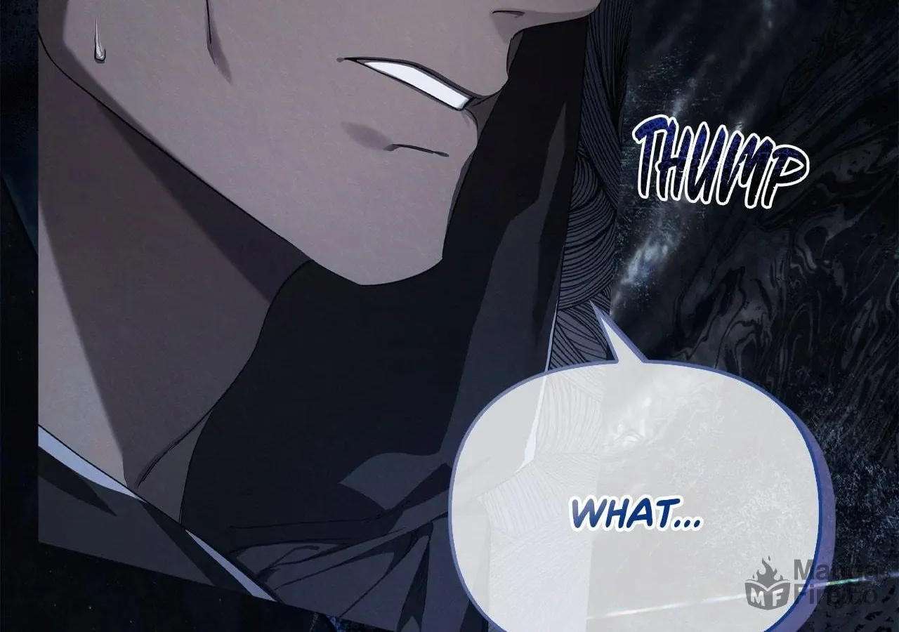 To the Witch Who Forgot the Bird Chapter 5 page 194 - 