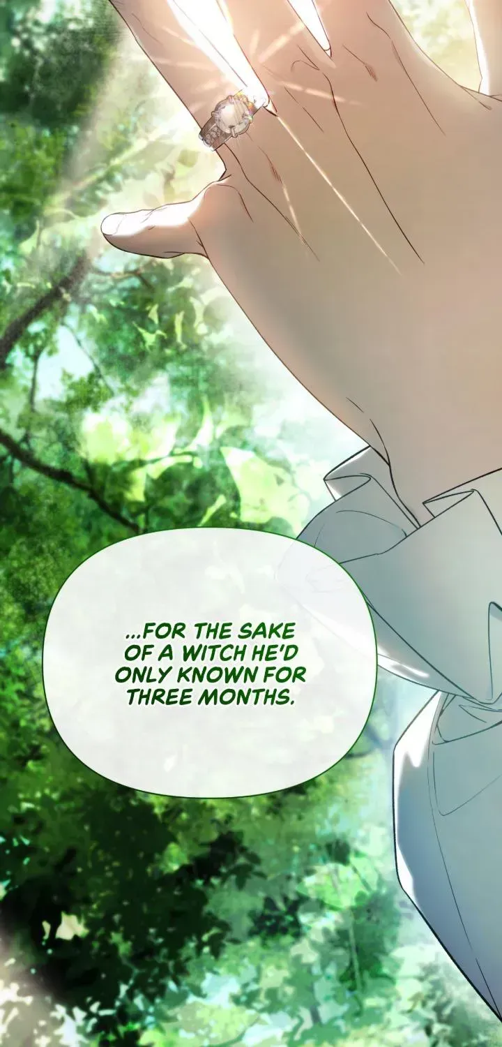 To the Witch Who Forgot the Bird Chapter 51 page 75 - 