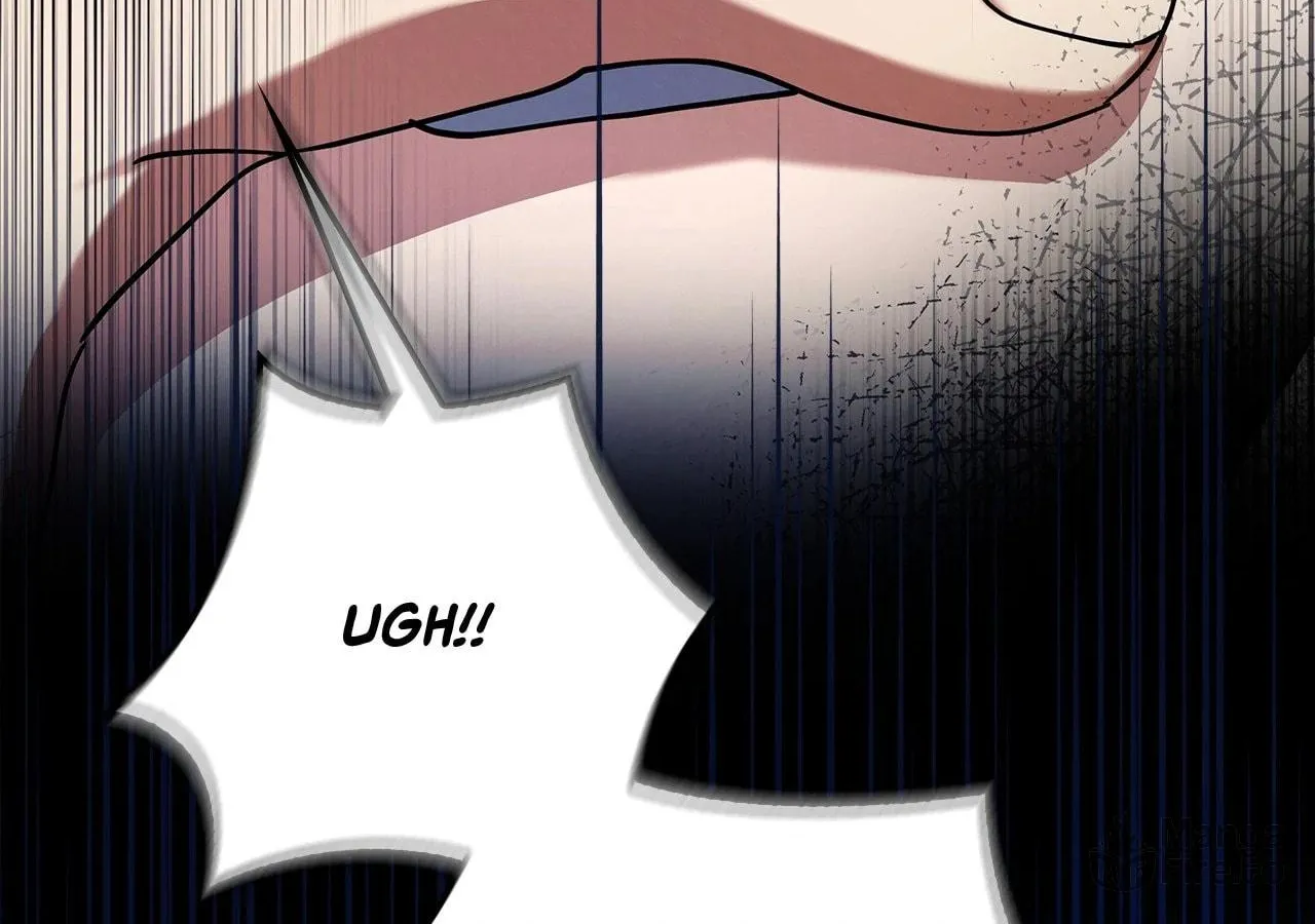To the Witch Who Forgot the Bird Chapter 6 page 74 - 