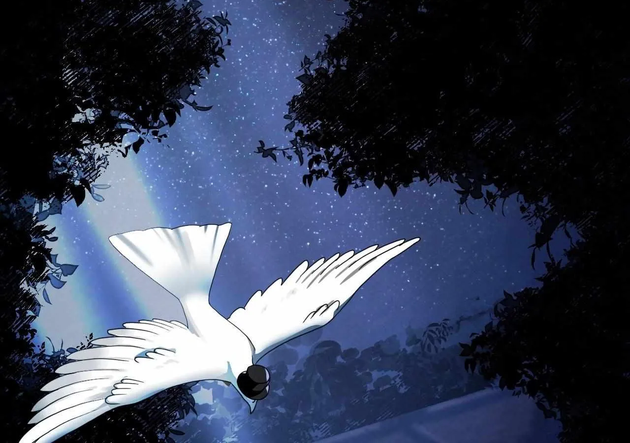 To the Witch Who Forgot the Birds Chapter 0 page 63 - 